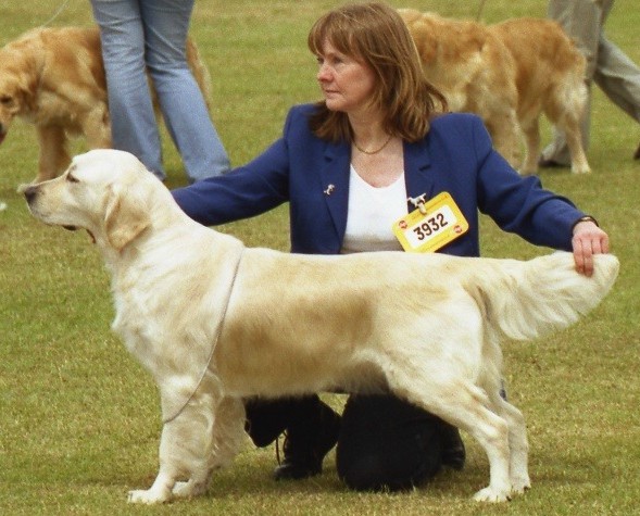 Nosam Mystique In Blue