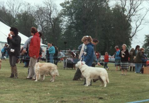 Karen and Bonnie in the ring at Rutland DS