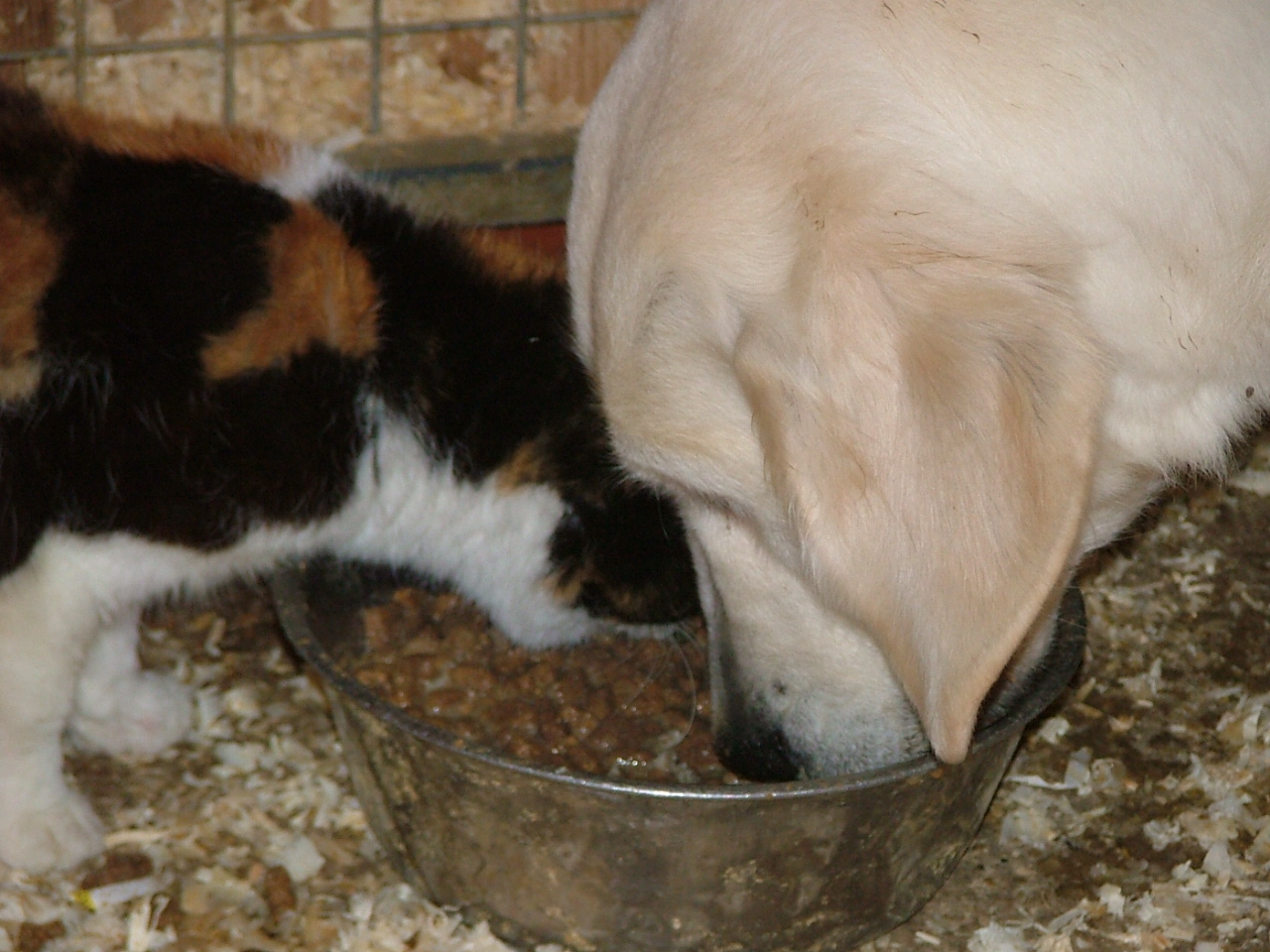 I don't mind sharing