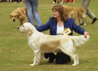 Nosam Mystique In Blue at Bath Ch Sh