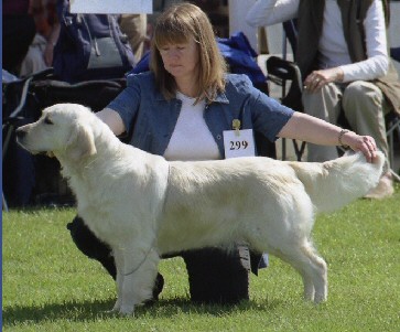 In front of the judge