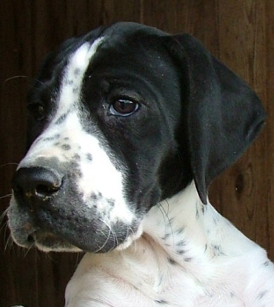 Logan aged 3 months