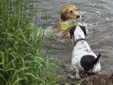 I'll just wait 'til he brings it to me.......